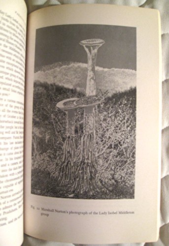 Parallel Botany (English and Italian Edition) 0394733029 Book Cover