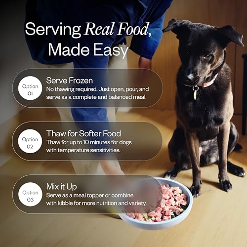 Maev Human-Grade Frozen Fresh Beef Dog Food, Weight & Digestion, 10 lb | High-Protein, Grain-Free, Whole-Ingredient Raw Food for Dogs | Complete & Balanced Meal or Topper | Made in USA - Image 6