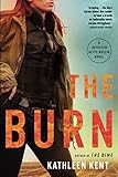 The Burn (Detective Betty, 2)