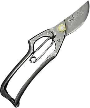 512s0c12KEL._AC_UF350,