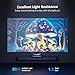 NexiGo 100-Inch Fresnel Projector Screen for Bright Day Light Use, 85% Ambient Light Rejecting ALR Projection Screen for Ultra Short Throw Projector, 16:9 Fixed Frame, Active 3D, HDR