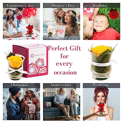 Rosen-Te-Amo, Cadeaus voor haar || Valentijnsdag geconserveerde eeuwige roos in glas geel | geurend | handgemaakt met echte folie in fijne geschenkdoos || Infinity Rozen: decoratie en geschenken voor - Image 7