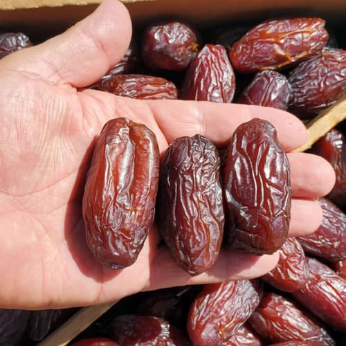 Image of JB&CO Premium Imported Medjool Dates | Jumbo fresh & Soft Khajoor | Medjul khajur | Naturally Sweet Arabian Dates | No Added Sugar, Healthy Dry Fruits Snack, Vegan, 1 kg pack (500g X 2)