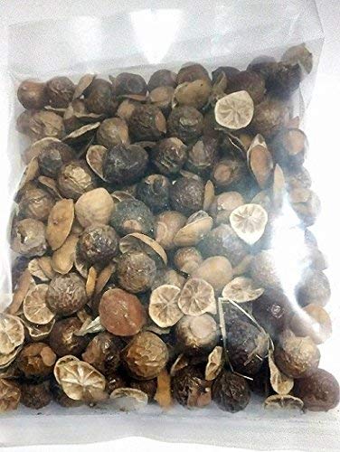 BSD Organics Natural Soap Nuts (Reetha) and Lemon for Laundry Cleaner and Hair Wash, 500 g