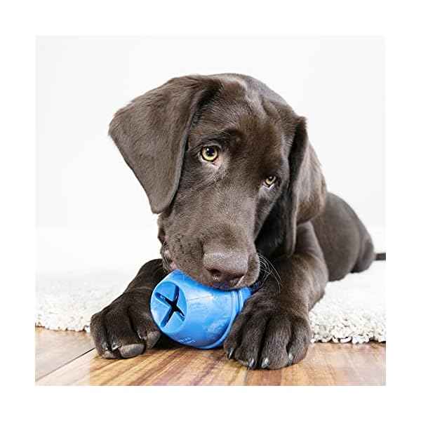 Kong Genius Leo Dog Toy, Small (Colors Vary) Kong Genius Leo Dog Toy, Small (Colors Vary)