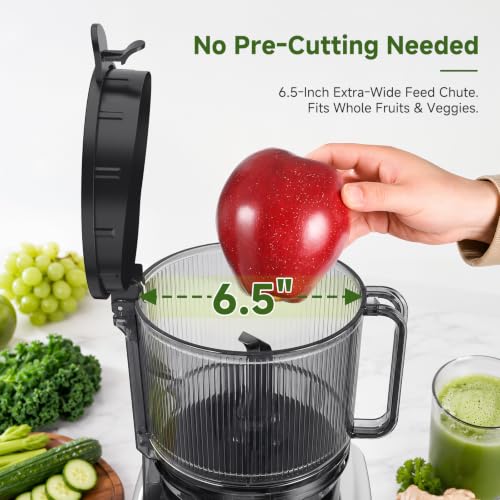 Image of AAOBOSI 3-in-1 Cold Press Juicer Machine, 6.5 inch Wide Chute, Slow Juicer Designed for Faster Juicing with Whole Fruits & Veggies, Easy to Clean and Clog-Resistant, for Nut Milk & Sorbet