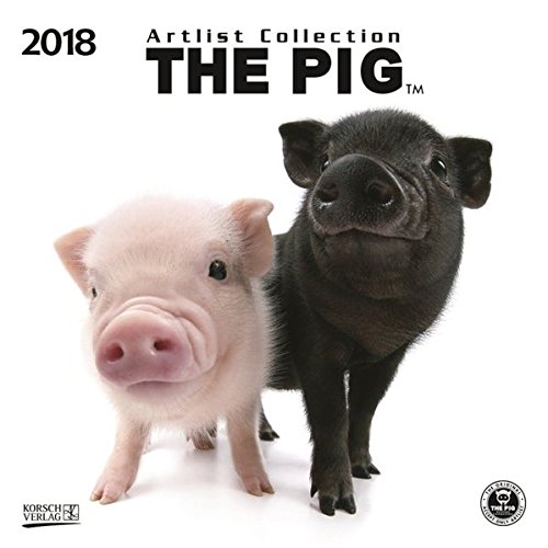 The Pig 2018: Broschürenkalender mit Ferienterminen. Süße Nahaufnahmen von Ferkeln vor edlem wei The Pig 2018: Broschürenkalender mit Ferienterminen. Süße Nahaufnahmen von Ferkeln vor edlem wei