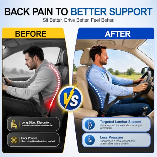 Lumbar Pillow with Washable 4D Mesh