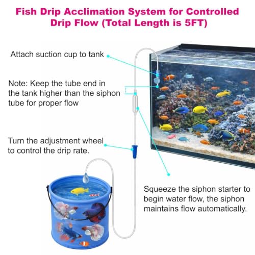 Kit de aclimatación para peces y cría betta ideal para evitar bajas en acuarios 6