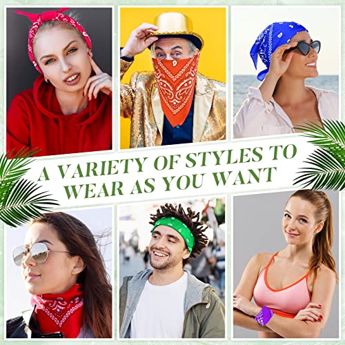 View 5