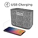 iHome iBT232 Bluetooth Dual Alarm FM Clock Radio with Speakerphone and USB Charging -Gray (Newest Model)
