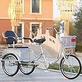 OHHG Triciclo Adultos Bicicleta Adultos 20 Pulgadas Marco Acero Alto Contenido Carbono Bicicletas 3 Ruedas Asiento Respaldo Carga la Cesta la Compra 240 KG (Color: Plata)