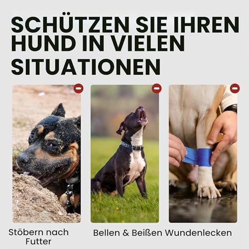 BRONZEDOG Hundemaulkorb Verstellbar Robustes PVC/Metalldrahtkorb für Große und Sehr Große Hunde mit Lederbändern Atmungsaktiv, Trinkfähig, Training, Verhindert Beißen (Great Dane, Edelstahl)