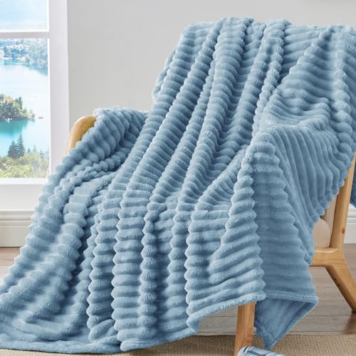 BEDELITE Fleece Throw Blanket for Couch - 300GSM Soft & Warm Fluffy Light Blue Blanket,...