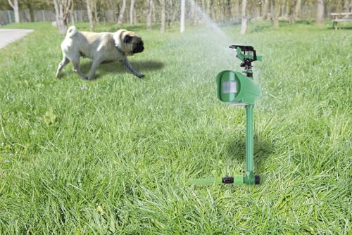 Royal Gardineer Katzenschreck Wasser: Wasserstrahl-Tierschreck mit PIR-Sensor, batteriebetrieben, 120 m² (Katzenschreck mit Wasserstrahl, Garten Wasser, ohne)