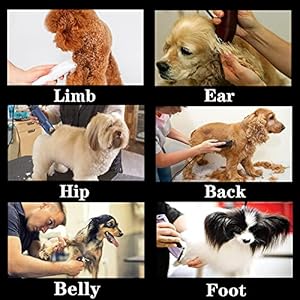 Detachable Steel Pet Dog Clipper Blades,Size-5FC,Compatible with Andis Cut Length 1/4″(6.3mm),Compatible with Oster A5, Wahl KM Series Clippers, Made of Steel Blade and Stainless Steel Blade