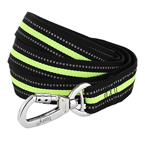 Dog Leash, Itery Reflective Dog Leash Pet Safety Walking and Trainning Leash 6 Feet Length 1 Inch Width (Green)