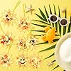 AmazingSpark 30 Pcs Sun Suncatchers Paper Craft Spring Sun Face DIY Stained Glass Effect Tissue Paper Kits Gift Bulk for Summer Sunshine Activities Art Party Decor #5