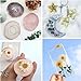 Shabebe Epoxy Resin, 64OZ Epoxy Resin Crystal Clear, Not-Yellowing No-Bubble, Self Leveling Easy Pour/Mix 1:1 Casting Kit & Coating for DIY Jewelry Making, Art Resina Clear Crafts, Molds, River Tables