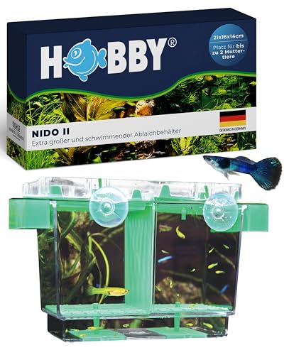 HOBBY Aquaristik Nido 2 I Schwimmender Ablaichkasten mit automatischer Wasserstandsanpassung I Aufzuchtbecken für Jungfische I 21,6 x 16,4 x 14,2 cm Ablaichbehälter mit Trennwand für 2 Fische