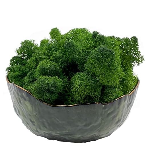 Moss Preserved Moss for Potted Plants Natural Fresh Green Reindeer Moss for Craft Arts Floral Wall Decor Decor Wedding Centerpieces Garden Artificial Terrariums Decoration for Christmas(Green) 3.5OZ