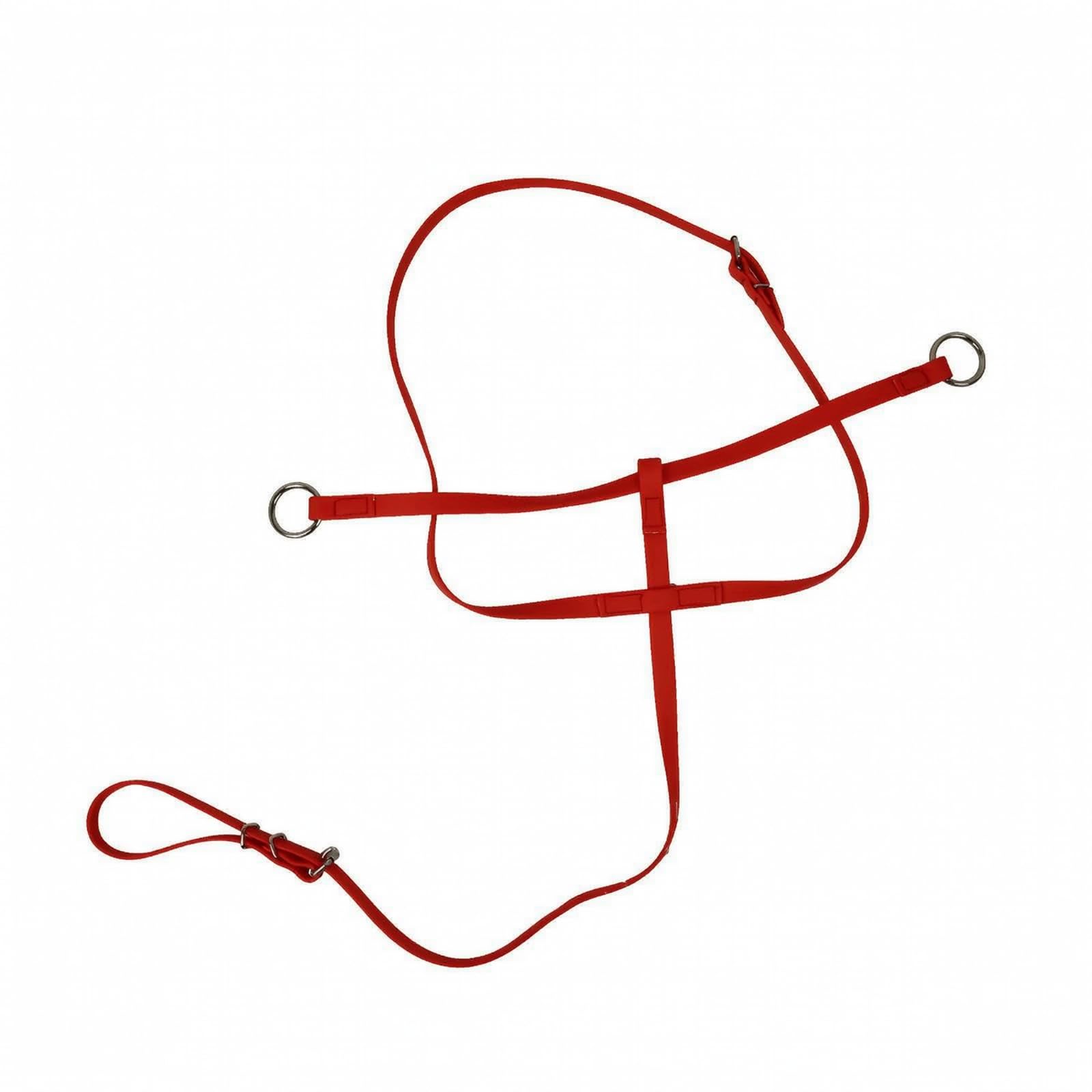 Rienda para r la Cabeza con Hebillas | Flexible, Brida, bajo Mannimiento, Arnés, para Equitación, Rojo