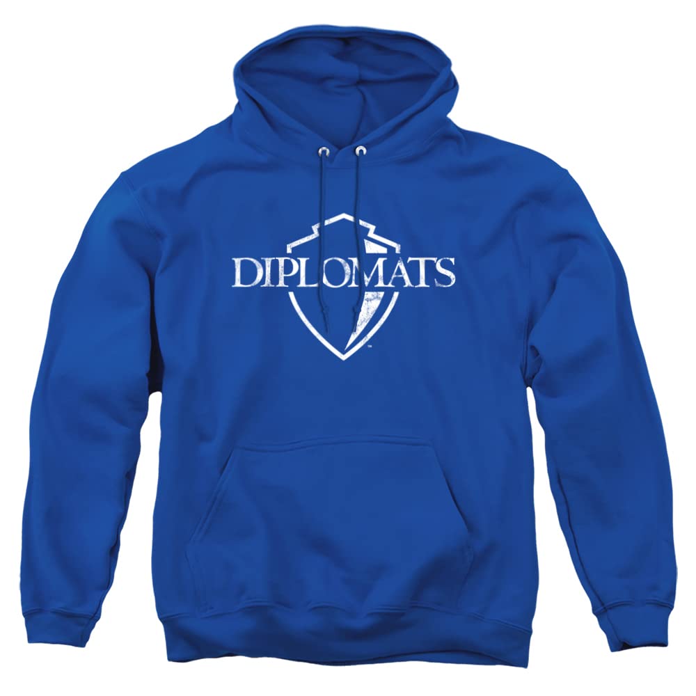 LOGOVISION Official Collegiate Distressed Primary Logo Adult Pullover Hoodie Collection — view 333