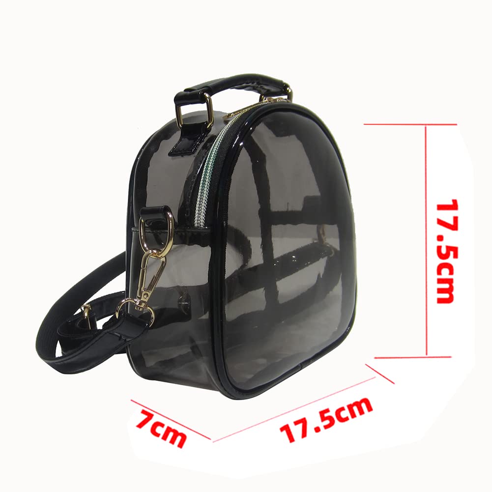 Przezroczyste PCV Crossbody Bag Women Mini Jelly Clear Ramion Torby
