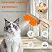LEOONER 3 in 1 Self Cleaning Steam Cat Brush for Removing Tangled and Loose Hair, Cat Dog Steamy Brush for Massage