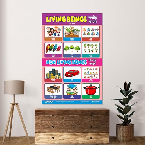 Image of ESCAPER Living Beings Educational Charts for Kids, Charts for Kids Learning (11.5 x 17.5 inches), Kids Study Material, Kids Learning Books, Educational Posters