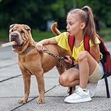 FORYNXHWIN Hundezigaretten Spielzeug, Quietschendes Hundespielzeug, Zigaretten Spielzeug Hund mit Hundespielzeug Zigarettenpackung, lustiges Zigaretten-förmiges Plüsch-Hunde-Selbstspielspielzeug