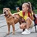 FORYNXHWIN Hundezigaretten Spielzeug, Quietschendes Hundespielzeug, Zigaretten Spielzeug Hund mit Hundespielzeug Zigarettenpackung, lustiges Zigaretten-förmiges Plüsch-Hunde-Selbstspielspielzeug