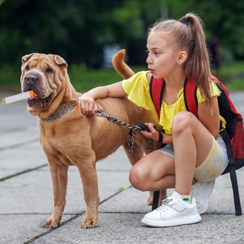 FORYNXHWIN Hundezigaretten Spielzeug, Quietschendes Hundespielzeug, Zigaretten Spielzeug Hund mit Hundespielzeug Zigarettenpackung, lustiges Zigaretten-förmiges Plüsch-Hunde-Selbstspielspielzeug