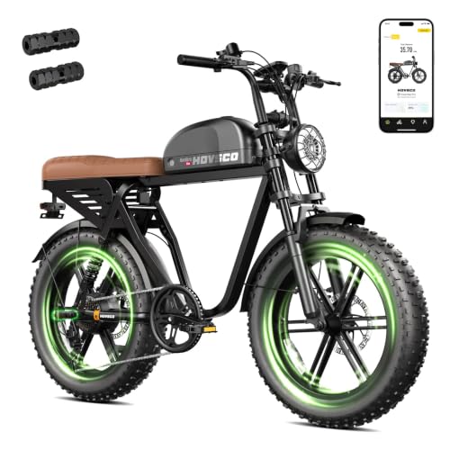 Electric Bike for Adults, 48V15/40Ah Removable Battery, 2000W Peak Motor