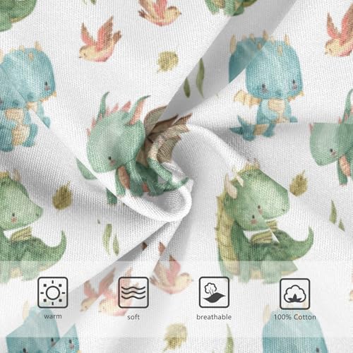 Boys' Exclusive Briefs Toddler Underwear 95% Combed Cotton Boxerbriefs 2T Cartoon Dinosaur Pattern 23