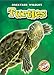 Turtles (Blastoff! Readers: Backyard Wildlife) (Blastoff! Readers: Backyard Wildlife: Level 1 (Library))