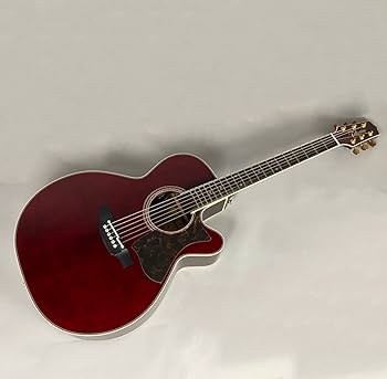 Amazon | Takamine DMP50S WR エレアコギター 島村楽器 x Takamine