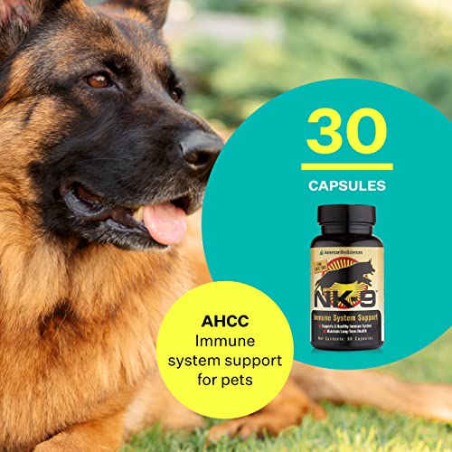 NK-9, AHCC Supplement for Dogs & Cats – Dietary Supplement to Support Immune System – Made for Pet’s Immune Defenses – 30 Capsules, 250mg/capsule NK-9, AHCC Supplement for Dogs & Cats – Dietary Supplement to Support Immune System – Made for Pet’s Immune Defenses – 30 Capsules, 250mg/capsule