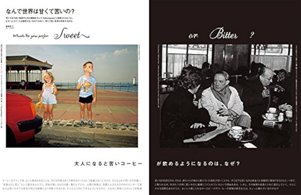 TRANSIT 第1~10号 10冊セット トランジット TRANSIT（トランジット）10号～永久保存 美しき