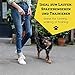 vitazoo Hundeleine in schwarz 2mx2,5cm, stabil und in 3 Längen verstellbar – auch als Führleine für große Hunde geeignet – bissfeste Welpenleine, Dog Leash