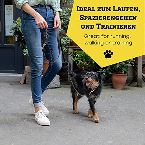 vitazoo Hundeleine in schwarz 2mx2,5cm, stabil und in 3 Längen verstellbar – auch als Führleine für große Hunde geeignet – bissfeste Welpenleine, Dog Leash