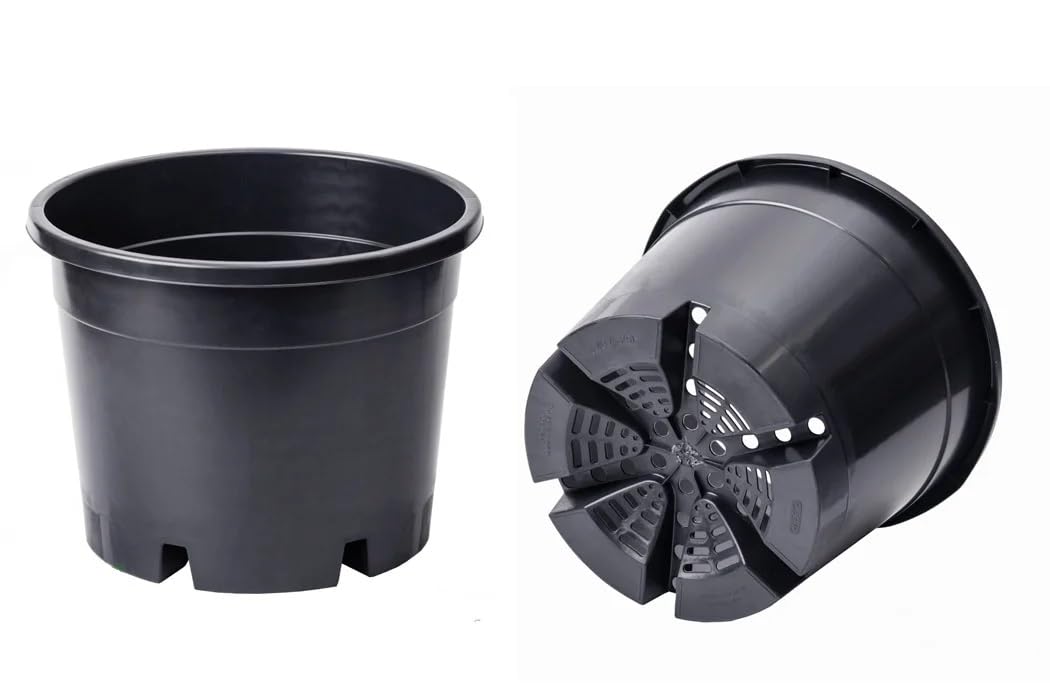 Muddy Hands Black Plastic Plant Pots - Ideal for Growing Blueberries - Outdoor Garden Round Nursery Seed Planters (2, 25 Litre) โ image 1