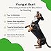 Pet Wellbeing Young at Heart for Dogs - Heart Health, Circulatory & Cardiovascular System, Hawthorn, Motherwort, Schisandra - Veterinarian-Formulated Herbal Supplement 2 fl oz (59 ml)
