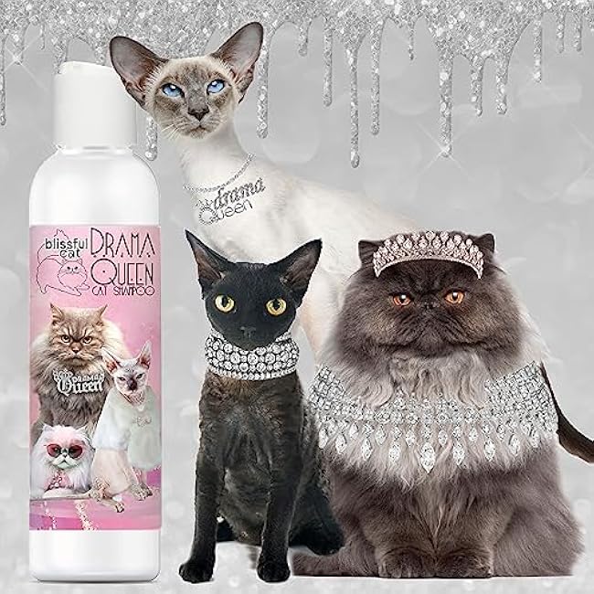 The Blissful Dog Drama Queen Cat Shampoo, 8-Ounce-3HRfni2N
