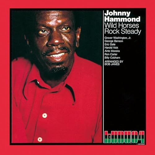 ワイルド・ホーセズ・ロック・ステディ ワイルド・ホーセズ・ロック・ステディ