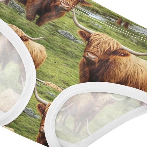 Cotton Girls Underwear Toddlers Vivid Highland Cows Grass Panties for Girl Colorful Briefs Kids Undies 2t4