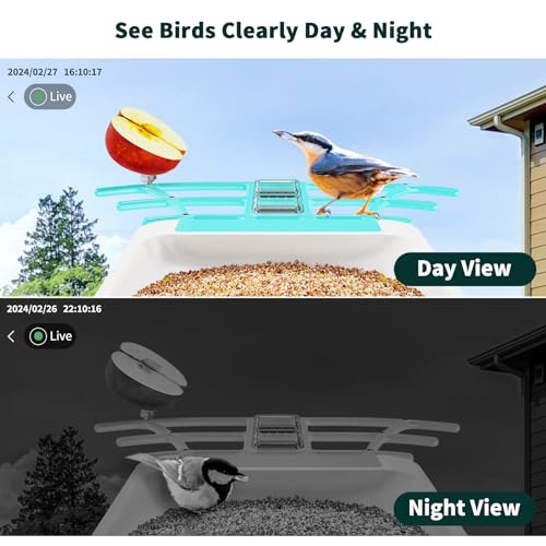 image for HARYMOR Smart Bird Feeder with Camera Solar Powered, Bird House with C