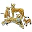 Cheetah Set 4 Pcs