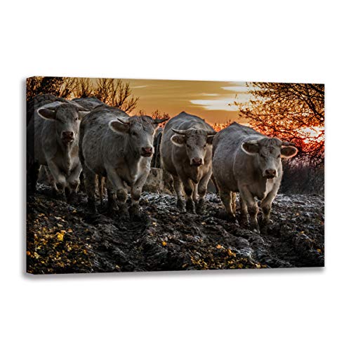 Poster vache Sunrise Muddy Road impression toile haute définition