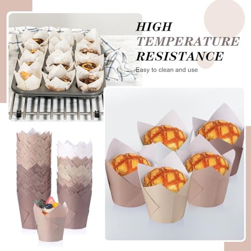 Havawish 500 Pcs Standard Size Gradient Brown Tulip Cupcake Liners, Party Cupcake Baking Liners Greaseproof Wrappers Muffin Liner Holders for Wedding Birthday Baby Shower Holiday Party Baking Cups by Havawish - Image 2